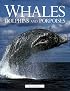 Whales, Dolphins and Porpoises