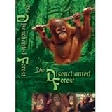 The Disenchanted Forest