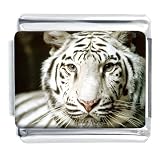 White Tiger Photo Italian Charms