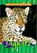 Jaguars (Animals of the Rain Forest)
