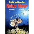 Fische und Korallen. Rotes Meer