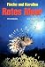  : Fische und Korallen. Rotes Meer