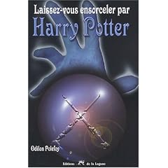 Laissez-vous ensorceler par Harry Potter