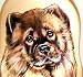   - Russian Nesting Doll Dog Chow Chow Schnauzer English Cocker Spaniel Viszla Chihuahua 5 Pc / 7in #dg26