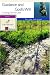 Book Guidance and God's Will: Trusting God to Lead (Bible Study Guides)