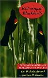Red-winged Blackbirds: Decision-making and Reproductive Success