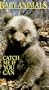 Baby Animals: Catch Me If You Can [VHS]