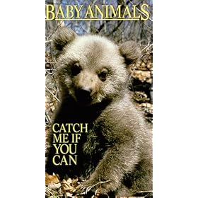 Baby Animals: Catch Me If You Can [VHS]