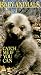 Baby Animals: Catch Me If You Can [VHS] [Import USA]