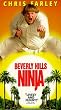 Beverly Hills Ninja [VHS]