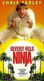 Beverly Hills Ninja by Sony Pictures