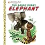 The Saggy Baggy Elephant