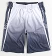 Fox Mens Fader Baller Mesh Shorts