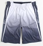 Fox Mens Fader Baller Mesh Shorts