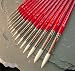 Winsor Newton University Brush- Series 233 Pointed Round Size 2