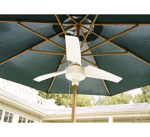 Umbrella Fan