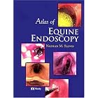 Atlas of Equine Endoscopy by  Nathan M. Slovis