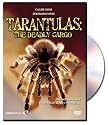 Tarantulas: The Deadly Cargo