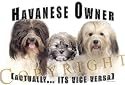 Havanese Mouse Pad Dog Mousepad "Vice Versa"