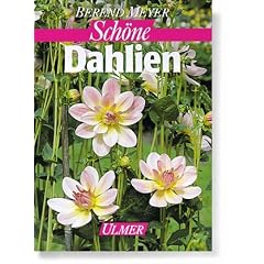 Sch�ne Dahlien