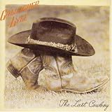 Last Cowboy