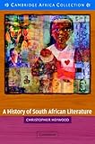 A history of South African literature