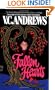 Fallen Hearts (Casteel Saga)