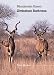 Rhodesian Dawn, Zimbabwe Darkness
