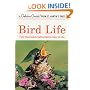 Bird Life (A Golden Guide from St. Martin's Press)