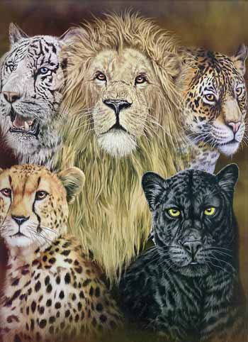 Signature Collection 5 Big Cats Mink Style Blanket