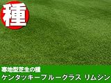 ケンタッキーブルーグラス リムジン 1kg...