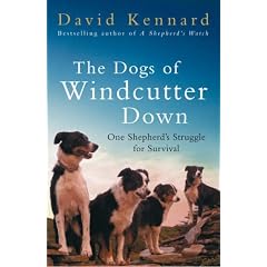 The Dogs of Windcutter Down: One Shepherd's Struggle for Survival