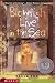 Books : Blowfish Live in the Sea (Aladdin Fiction)