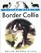 Living with a Border Collie (Living With)