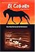 El Caballo:  The Wild Horses of North America