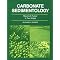 Carbonate Sedimentology