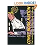 Comic Book Nation: The Transformation of Youth Culture in America