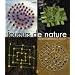 Joueurs de nature : 45 jeux traditionnels en land art