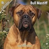 \"BULL