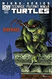 Teenage Mutant Ninja Turtles Micro-Series #1 Raphael (Cover Chosen Randomly)