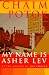 My Name Is Asher Lev