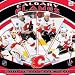CALGARY FLAMES 2010 NHL Monthly 12" X 12" WALL CALENDAR
