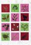 Handmade Greeting Cards - Birthday, Anniversary, Mothers Day, Real Flower Greeting Card - Assorted Set of 3 Cards for Any Occasion