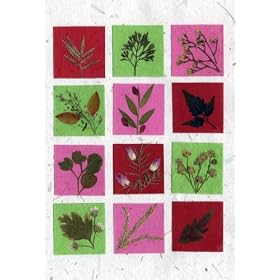 Handmade Greeting Cards - Birthday, Anniversary, Mothers Day, Real Flower Greeting Card - Assorted Set of 3 Cards for Any Occasion