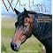 Study Philosophy from a Horse