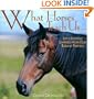 What Horses Teach Us: Life's Lessons Learned from Our Equine Friends