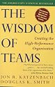 The Wisdom of Teams: Creating the High-Performance Organization