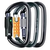 Petzl Am'D Locking Carabiner - Screw-Lock, Ball-Lock, Triact-Lock