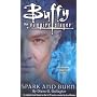 Spark and Burn (Buffy the Vampire Slayer)