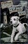 The Treasure of Skeleton Reef (Wishbone Mysteries)
